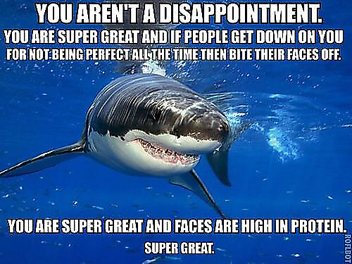 A great white shark offering words of encouragement. 